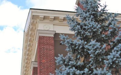 Dentil Crown Molding: The Complete Homeowner’s Guide