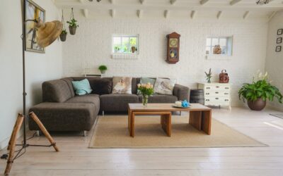 Grey Paint Colors for Living Room: The Complete Guide for Homeowners