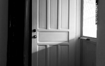 Modern Pocket Door: The Complete Guide for Homeowners