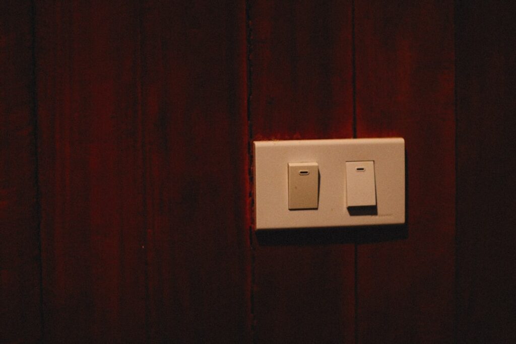 Double Light Switch: A Complete Homeowner’s Guide