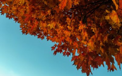 Fall Paint Colors: Warm, Cozy Hues That Work Year-Round