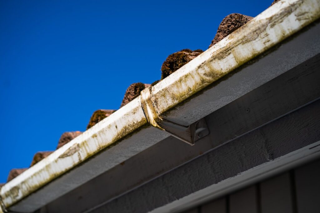 Fascia and Soffit Replacement: Complete Guide