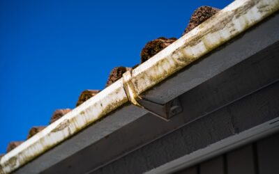 Fascia and Soffit Replacement: Complete Guide