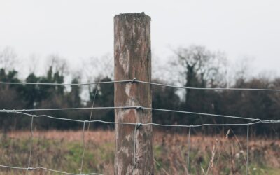 Fence Post Anchor: The Complete Guide to Secure, Long-Lasting Posts