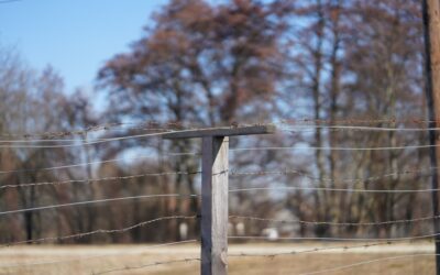 Fence Post Extender: Adding Height the Easy Way