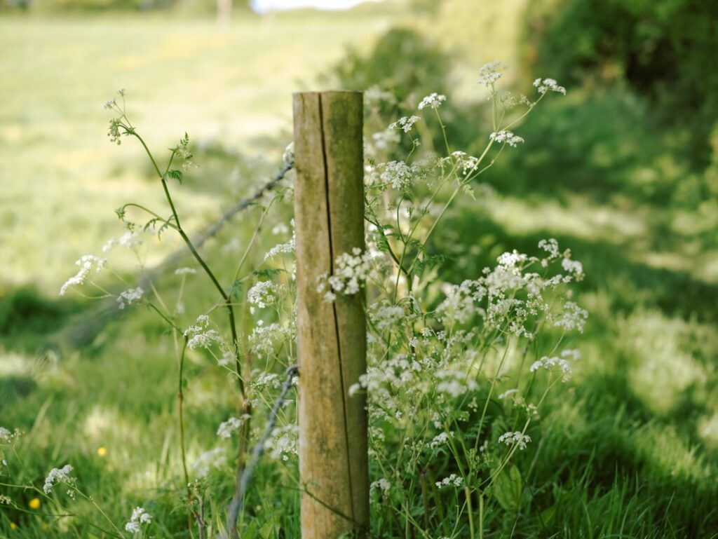 Fence Post Support: Keeping Your Fence Straight and Strong