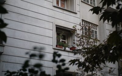 Flat Window Trim: A Modern Casing Guide for Homeowners
