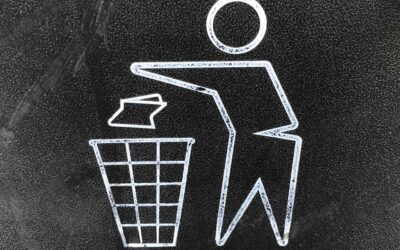 Garbage Disposal Plug: Complete Guide for Homeowners