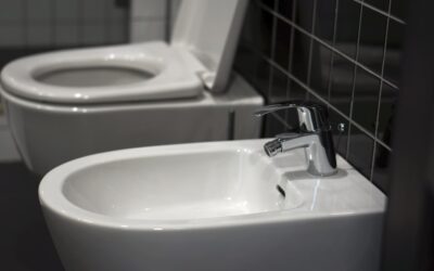 Hand Held Bidet: Everything You Need to Know