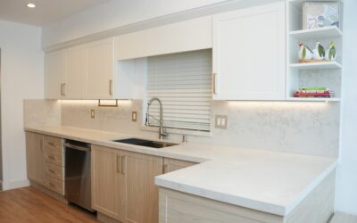 Kitchen Sink Base Cabinet: A Complete Homeowner’s Guide
