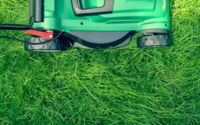 Lawn Mower Cover: Protecting Your Machine From the Elements