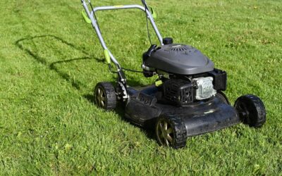 Lawn Mower Stores