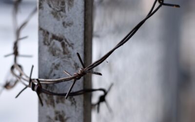 Metal Post Fence: Durable Posts for Fences That Outlast Wood