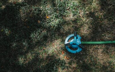 Most Powerful Cordless Leaf Blower