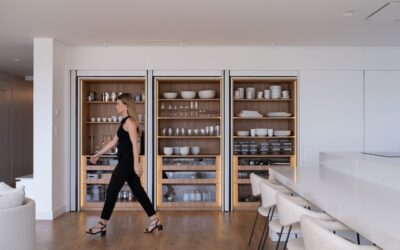 Pantry Cabinet for Kitchen Storage: A Complete Guide