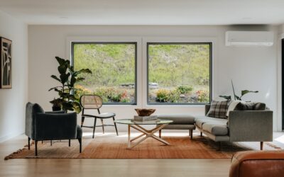 Picture Window Blinds