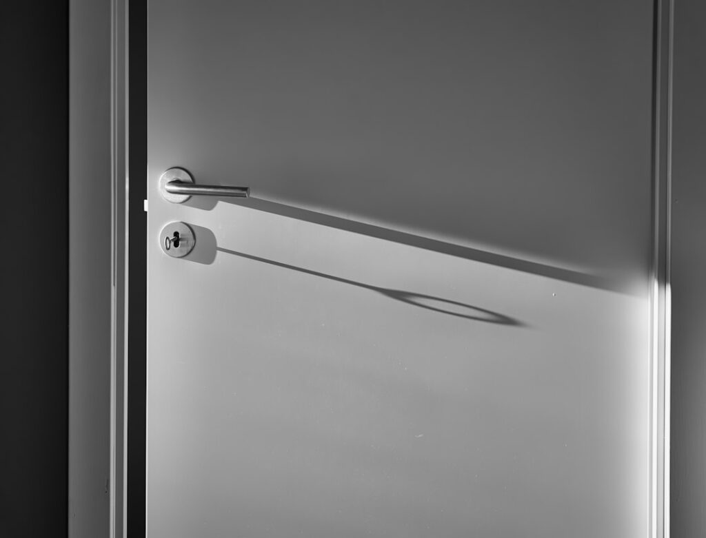 Prehung Frosted Glass Interior Door: Light With Privacy