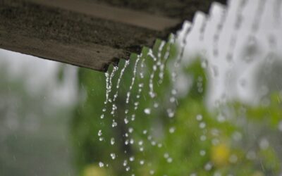Rain Chains for Gutters: A Beautiful Alternative to Downspouts