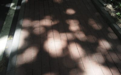 Raised Paver Patio: Complete Guide for Homeowners