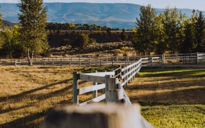 Ranch Style Wood Fence: Complete Guide for Homeowners