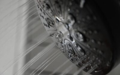 RV Shower Head: Complete Guide