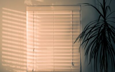 Small Window Blinds