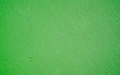 Soft Green Paint Colors: Calming Shades That Never Go Out of Style