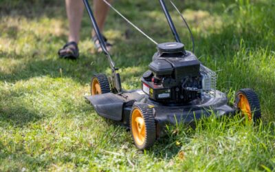 Standing (Stand-On) Lawn Mower: Complete Guide