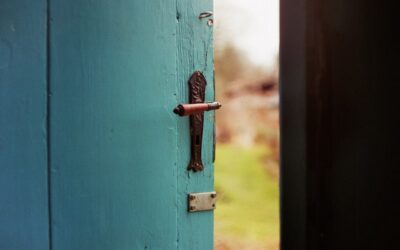 Storm Door Handle Replacement: DIY Guide