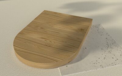 Toilet Seat Cover: Complete Guide