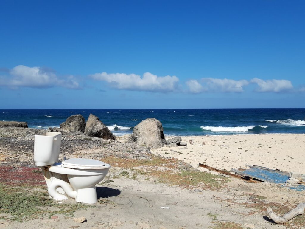 Toilet with Built-In Bidet Guide
