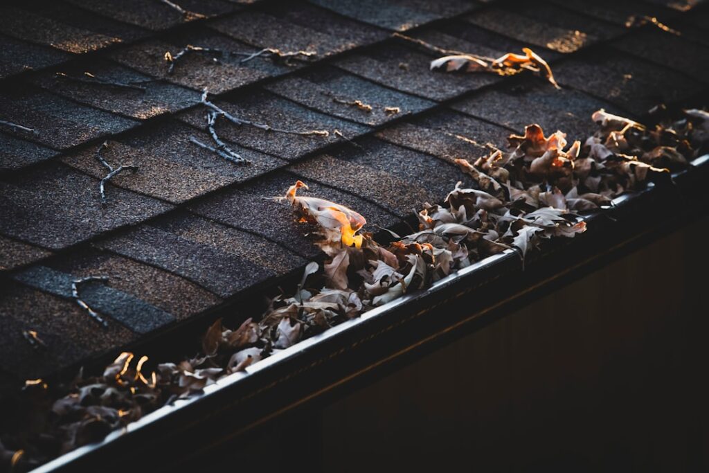 Types of Gutter Guards: Complete Guide
