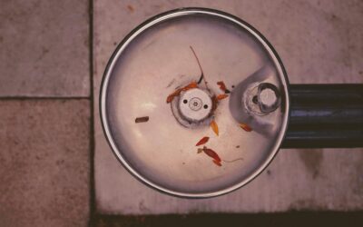 Under Sink Garbage Disposal: Complete Guide for Homeowners