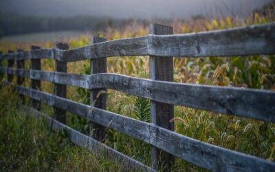 Wood and Metal Fence: Complete Guide for Homeowners