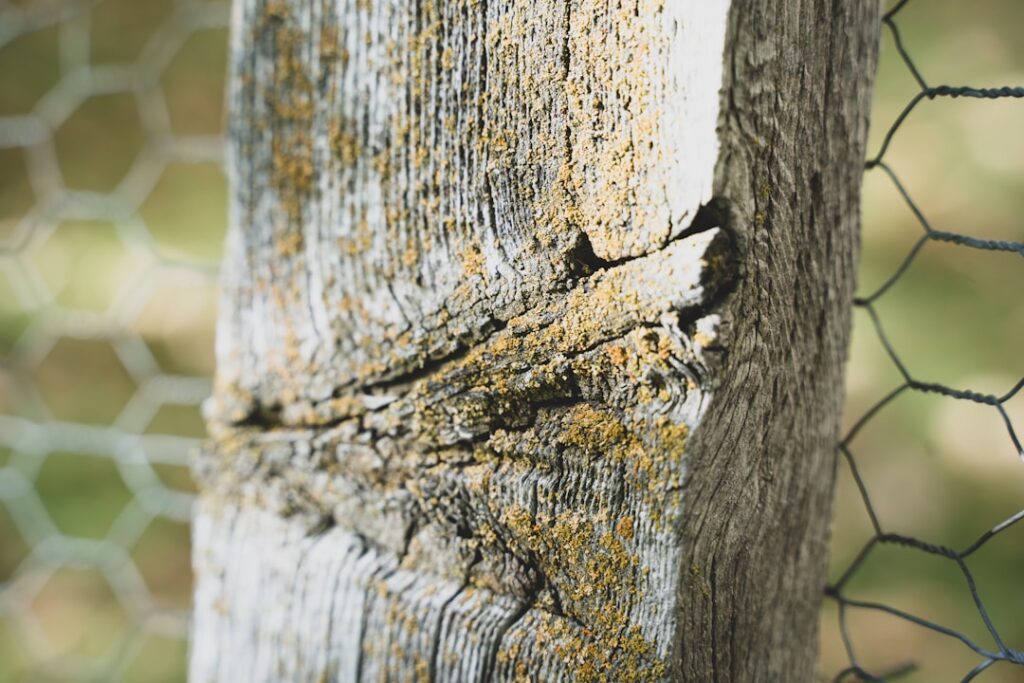 Wood Fence with Chicken Wire: A Practical Build Guide