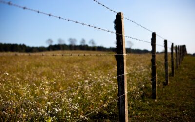 Wood Post and Wire Fence: Complete Guide for Homeowners