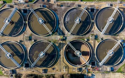 Acid Neutralizer for Well Water: Fixing Low pH and Blue Stains