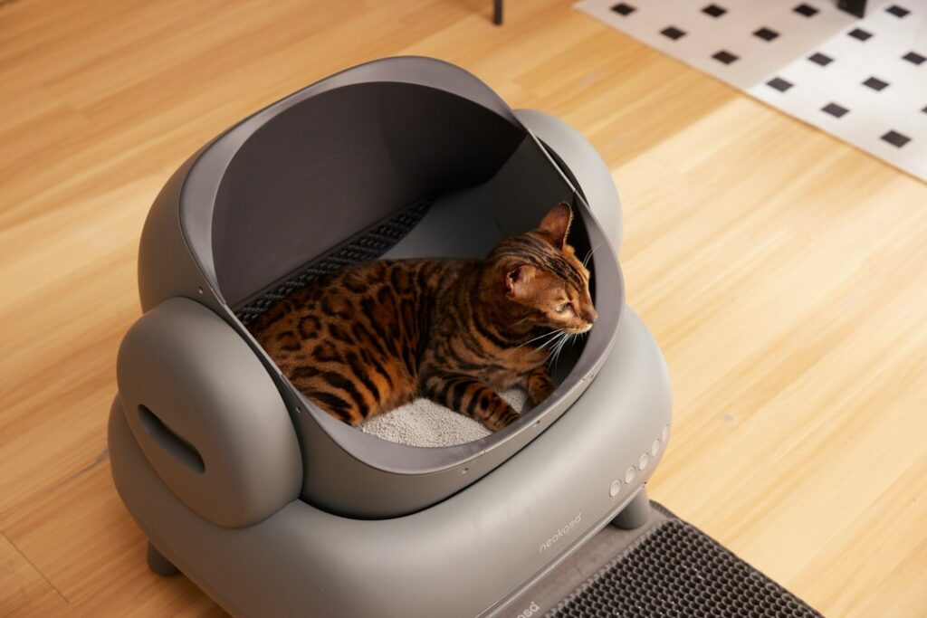 Cat Tree With Litter Box Enclosure: Hide the Box in Style