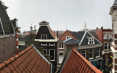 Coated Metal Roofing: A Complete Guide for Homeowners