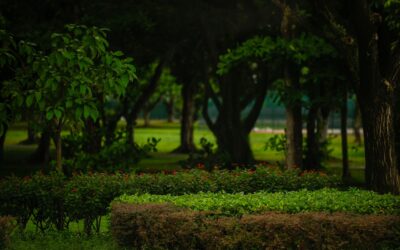 French Drain Landscaping Ideas to Hide a Drain in Style