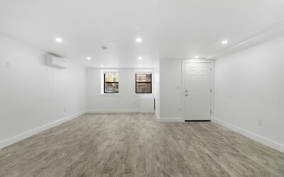 How to Eliminate Basement Odor: A Step-by-Step Plan