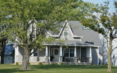 Siding Mold Remover: How to Clear Mold and Algae for Good
