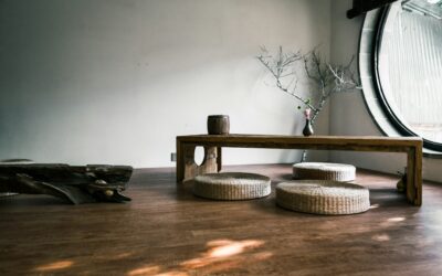 Sauna Wood Stove: Complete Guide for Homeowners