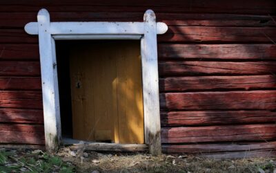 Dog Door Installation Cost by Door, Wall and Glass