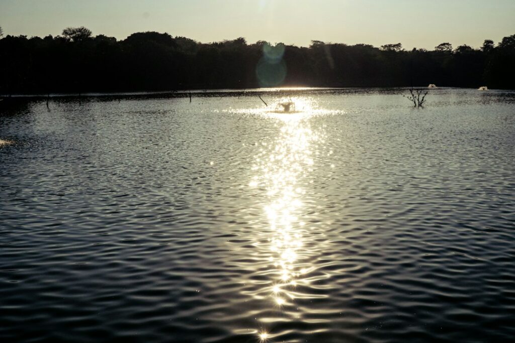 Solar Pond Pump: What It Can Power and When It Falls Short