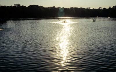 Solar Pond Pump: What It Can Power and When It Falls Short