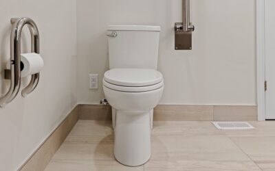 Toilet Grab Bars: Complete Guide for Homeowners
