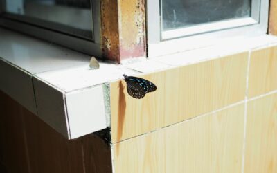 Window Pivot Shoe Replacement: Fix a Sash That Won’t Stay Up