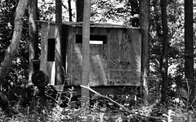 Backyard Tree Fort: Build One With or Without a Tree