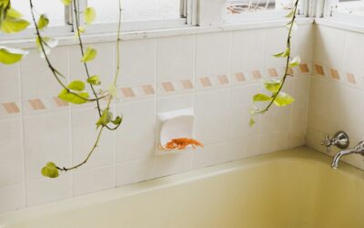 Bathtub Drain Hair Catcher: Which Type Fits Your Tub Drain